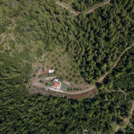 Dream House Capturing The Magic Of Nature Vlachia Buitenkant foto