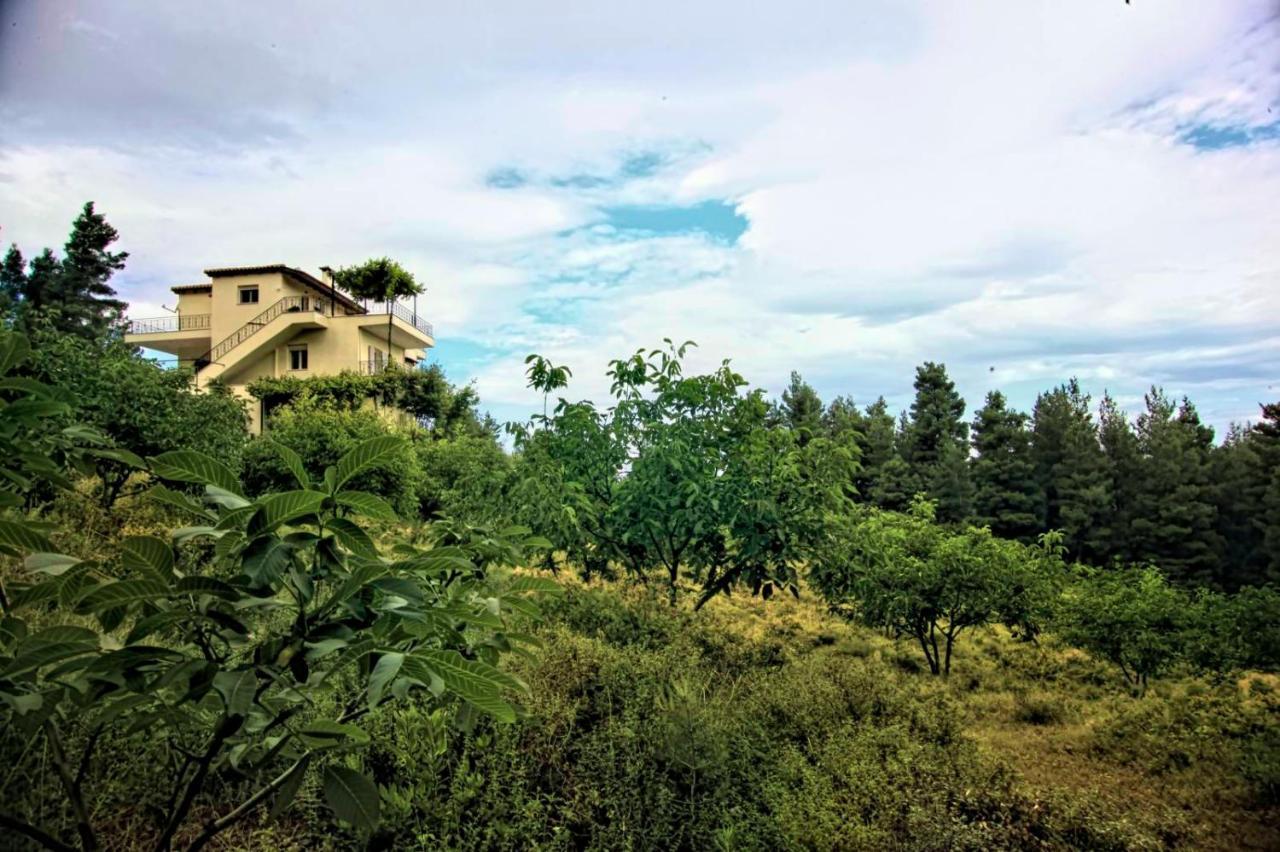 Dream House Capturing The Magic Of Nature Vlachia Buitenkant foto