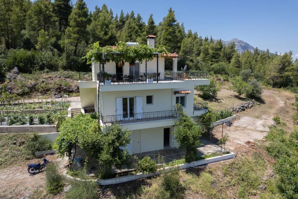 Dream House Capturing The Magic Of Nature Vlachia Buitenkant foto