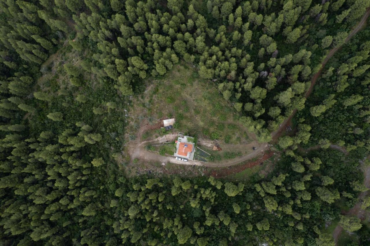 Dream House Capturing The Magic Of Nature Vlachia Buitenkant foto